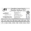 Image 1 : Hamilton Sunbeam N547