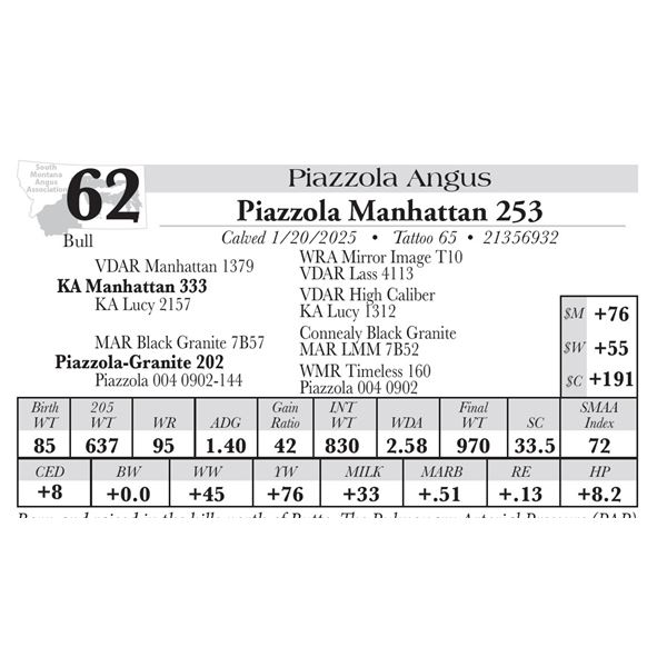 Piazzola Manhattan 253