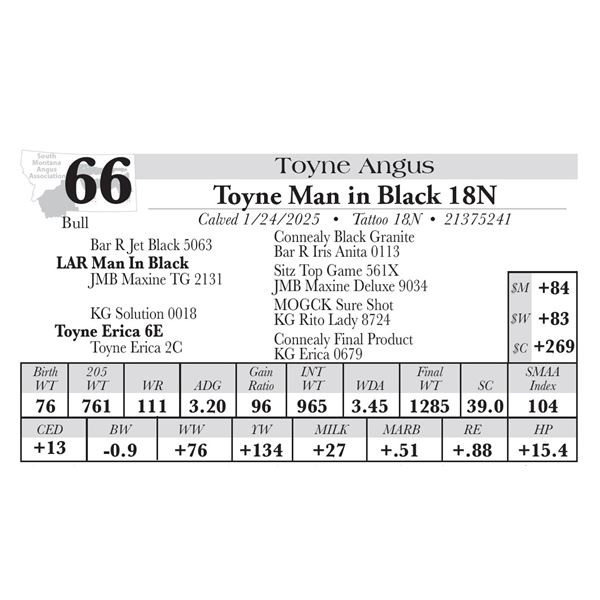 Toyne Man in Black 18N