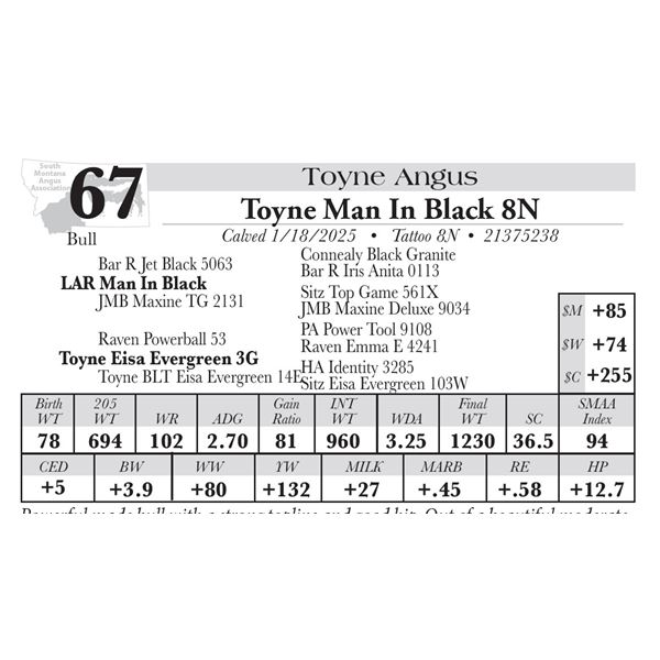 Toyne Man In Black 8N