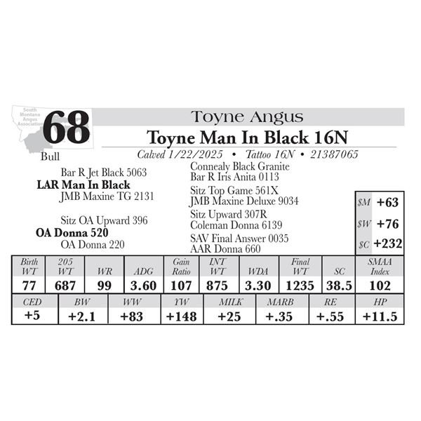 Toyne Man In Black 16N