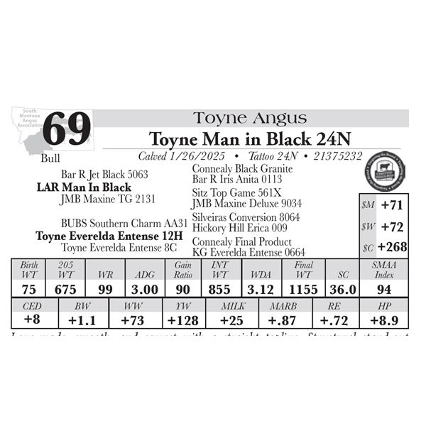 Toyne Man in Black 24N