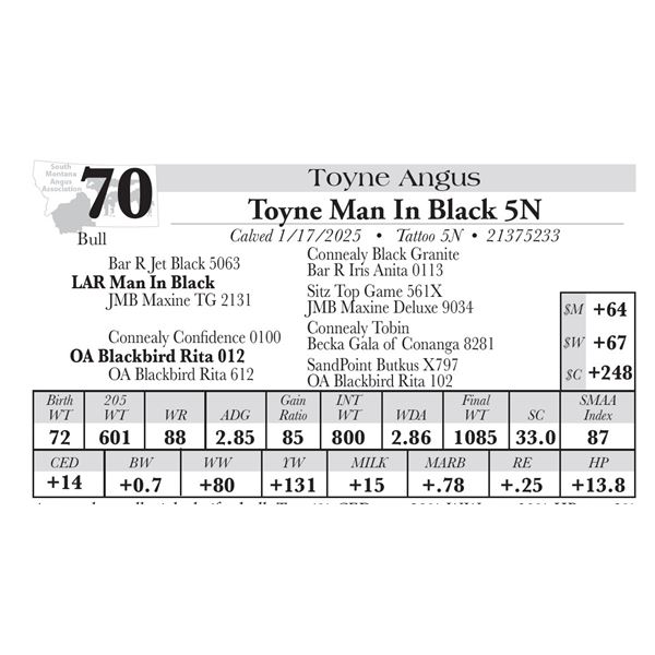 Toyne Man In Black 5N