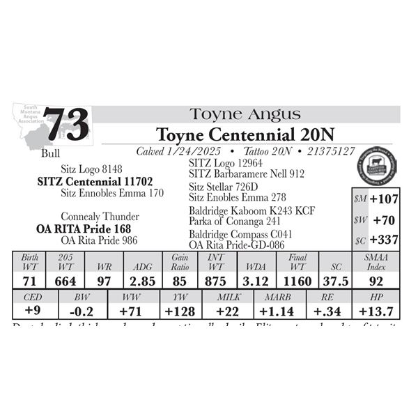Toyne Centennial 20N