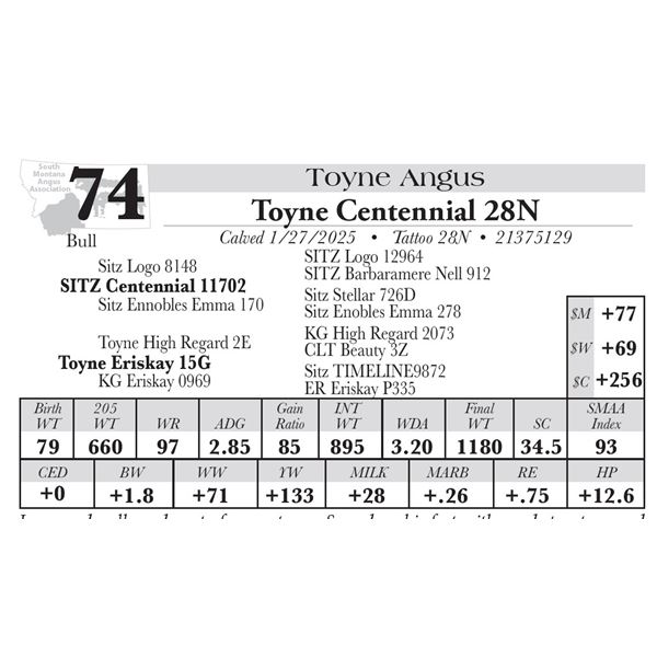 Toyne Centennial 28N