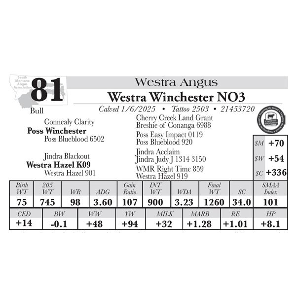 Westra Winchester NO3
