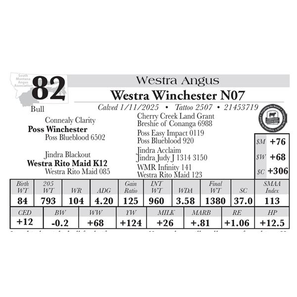 Westra Winchester N07