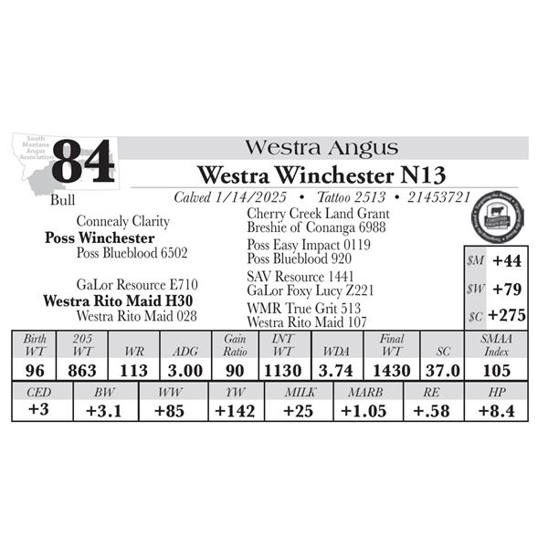 Westra Winchester N13