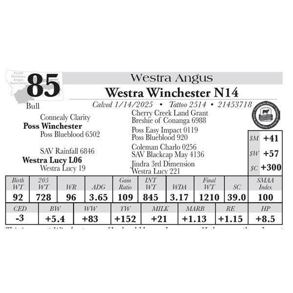 Westra Winchester N14