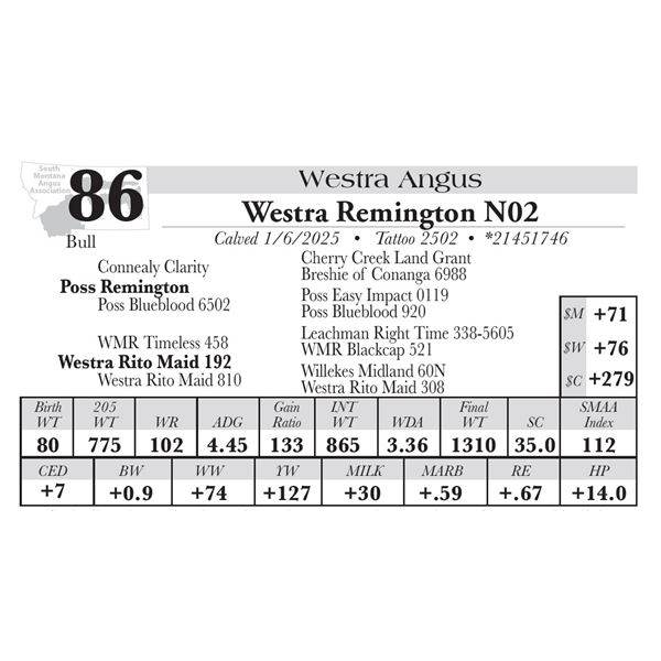 Westra Remington N02
