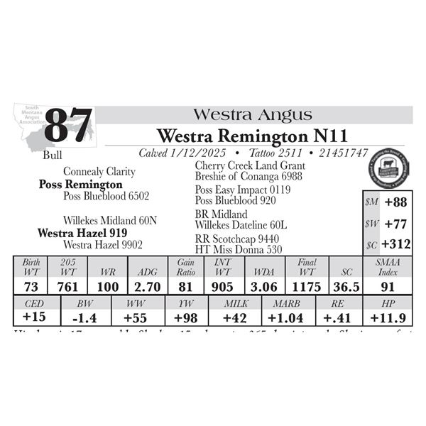 Westra Remington N11
