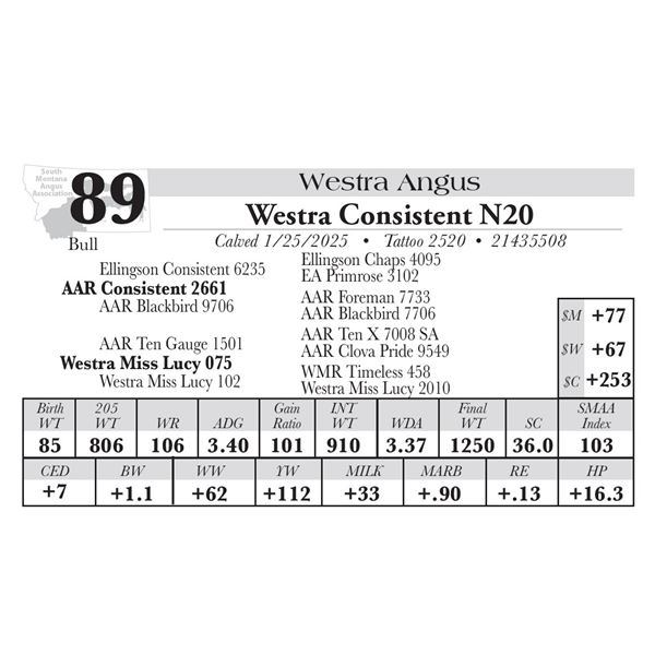 Westra Consistent N20