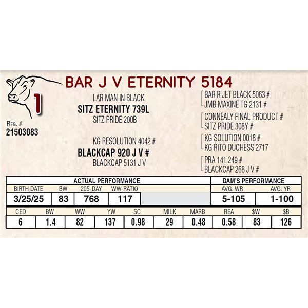 BAR J V ETERNITY 5184