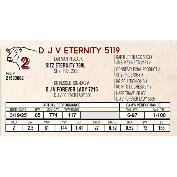 D J V ETERNITY 5119