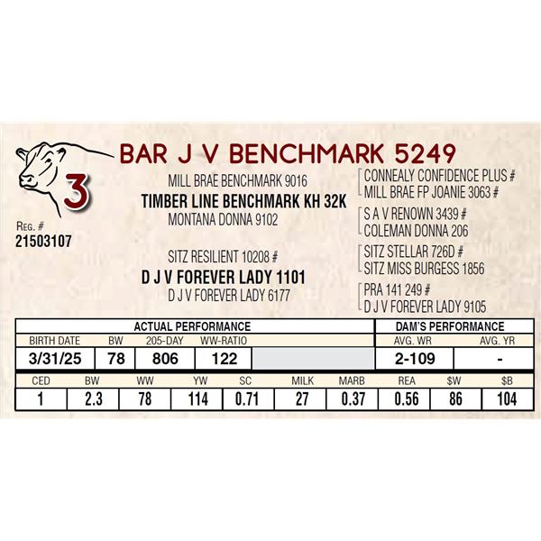 BAR J V BENCHMARK 5249