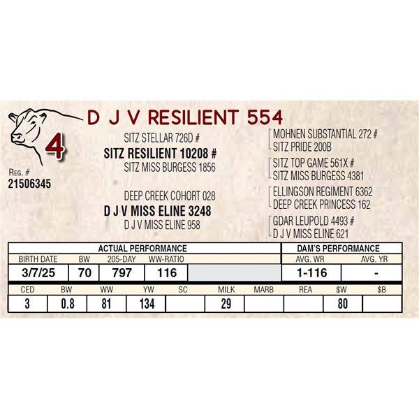 D J V RESILIENT 554