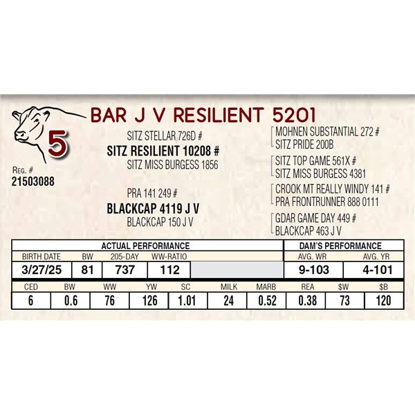 BAR J V RESILIENT 5201