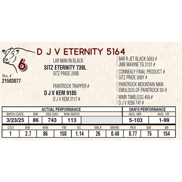 D J V ETERNITY 5164