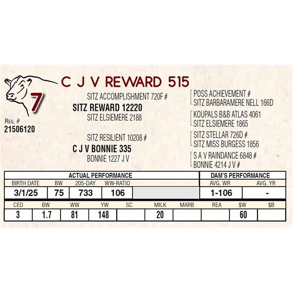 C J V REWARD 515