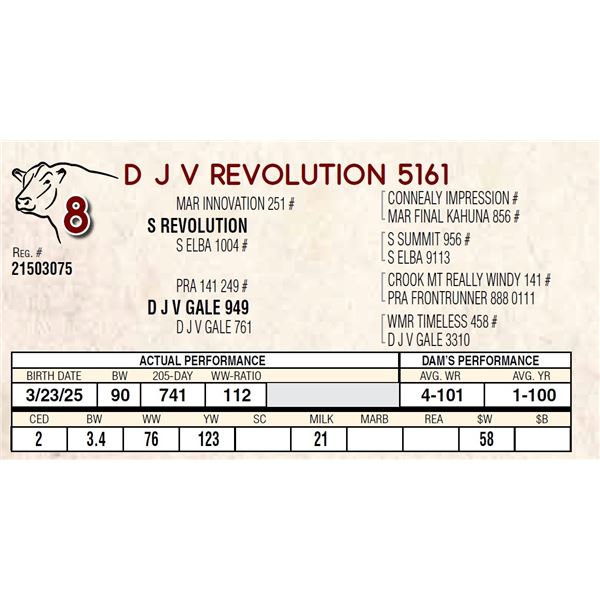D J V REVOLUTION 5161