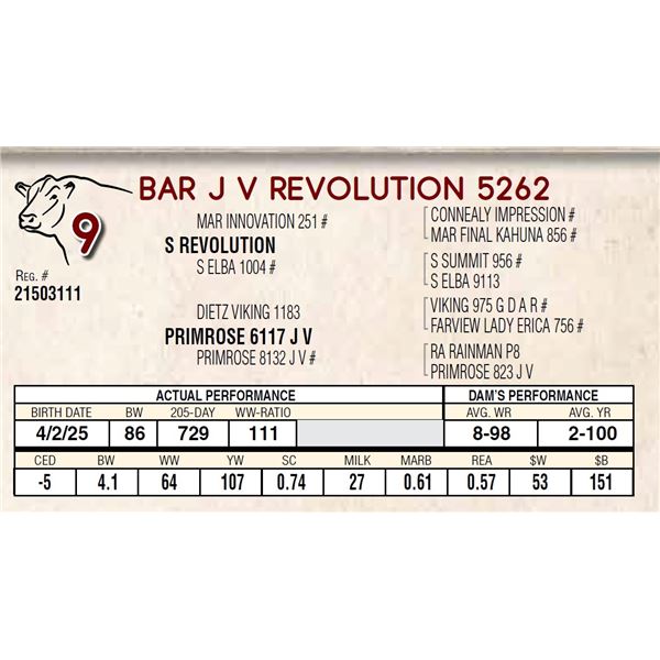 BAR J V REVOLUTION 5262
