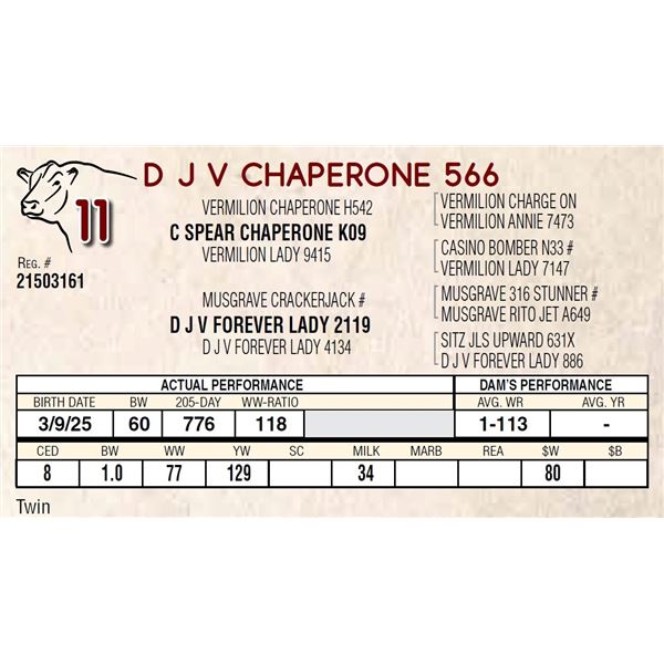 D J V CHAPERONE 566