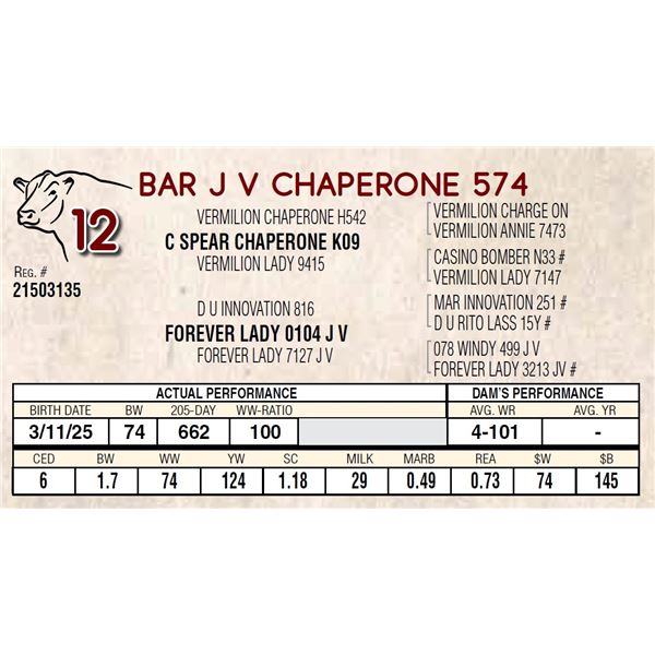 BAR J V CHAPERONE 574