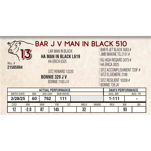 BAR J V MAN IN BLACK 510