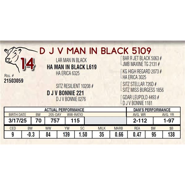 D J V MAN IN BLACK 5109