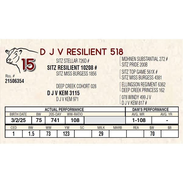 D J V RESILIENT 518