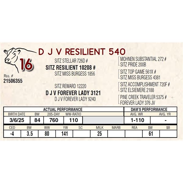 D J V RESILIENT 540