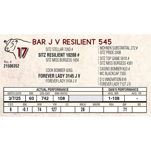 BAR J V RESILIENT 545