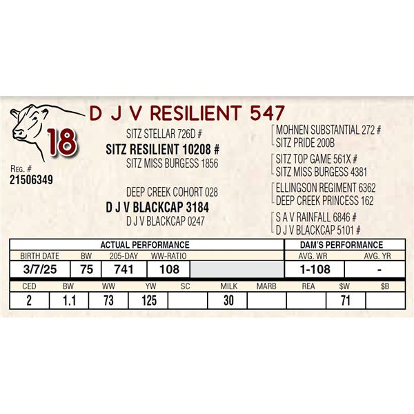 D J V RESILIENT 547