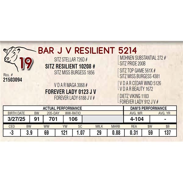 BAR J V RESILIENT 5214