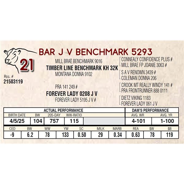 BAR J V BENCHMARK 5293