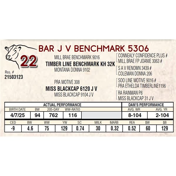 BAR J V BENCHMARK 5306
