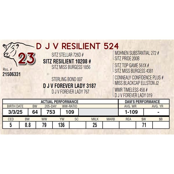 D J V RESILIENT 524