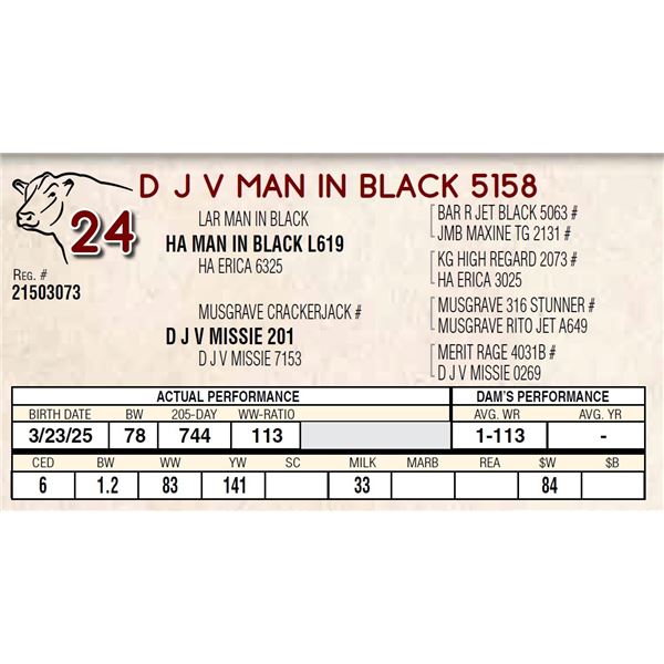 D J V MAN IN BLACK 5158
