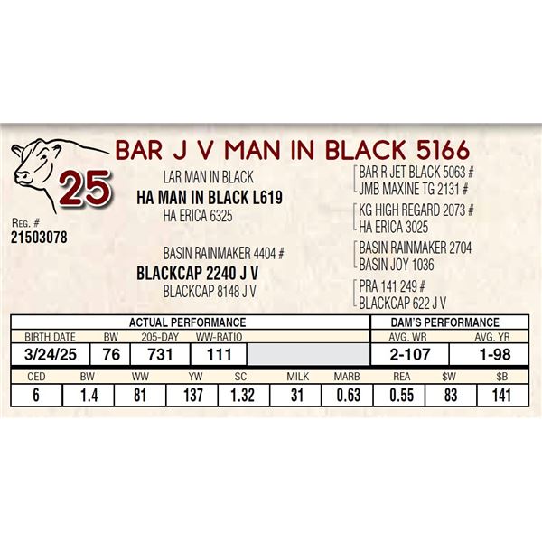 BAR J V MAN IN BLACK 5166
