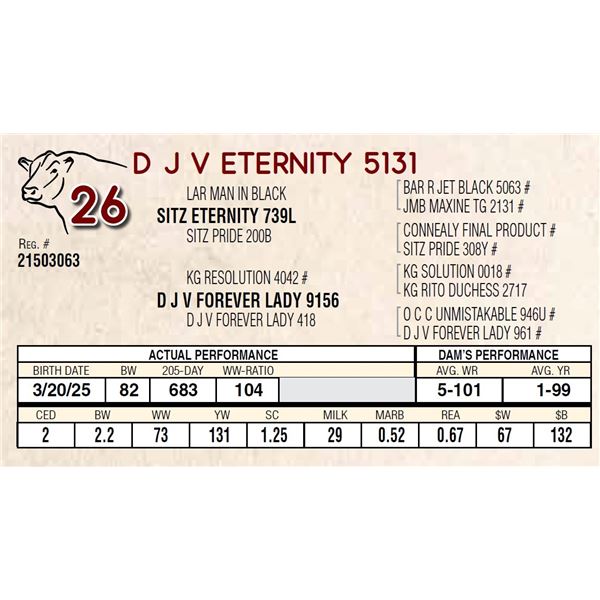 D J V ETERNITY 5131