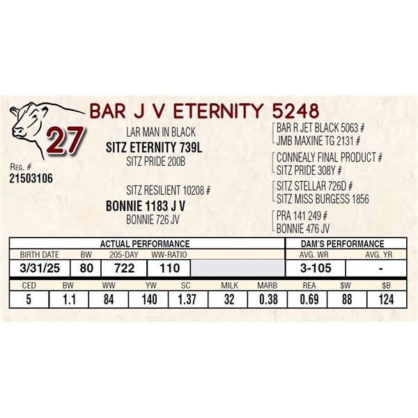BAR J V ETERNITY 5248