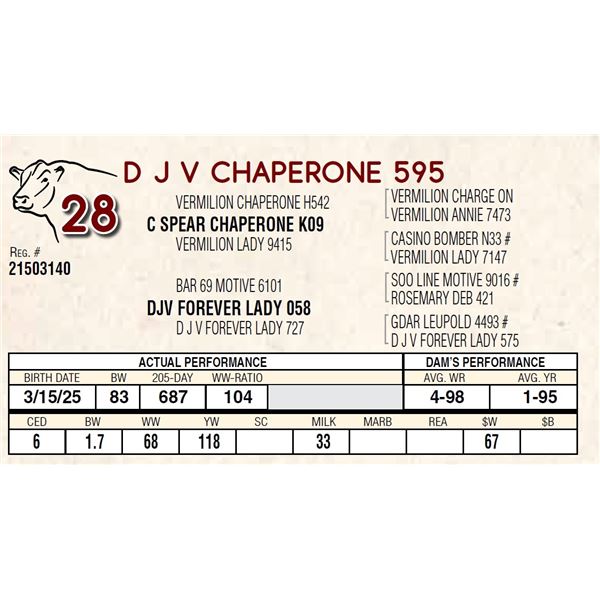 D J V CHAPERONE 595