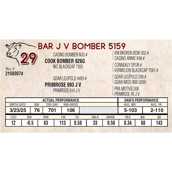 BAR J V BOMBER 5159