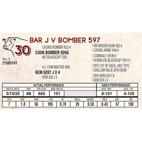 BAR J V BOMBER 597