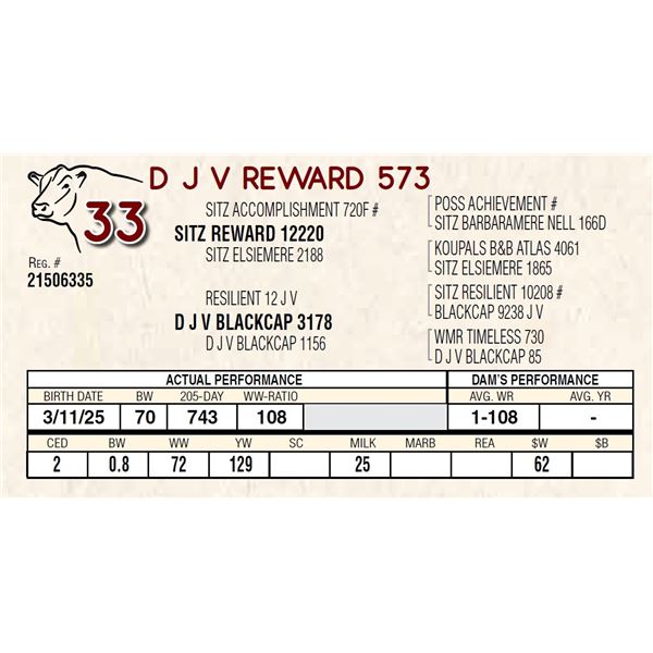 D J V REWARD 573
