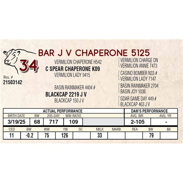 BAR J V CHAPERONE 5125