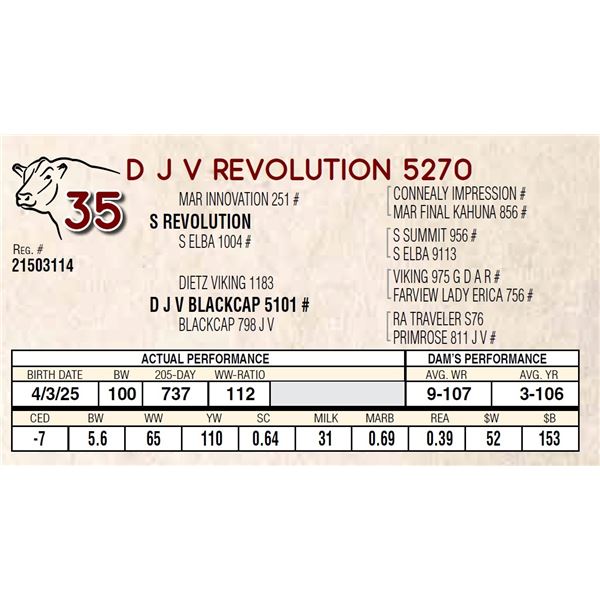 D J V REVOLUTION 5270