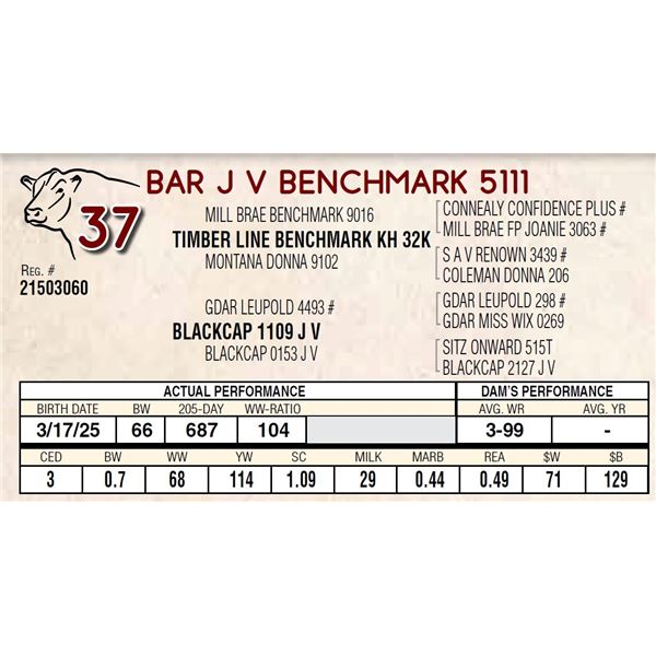 BAR J V BENCHMARK 5111
