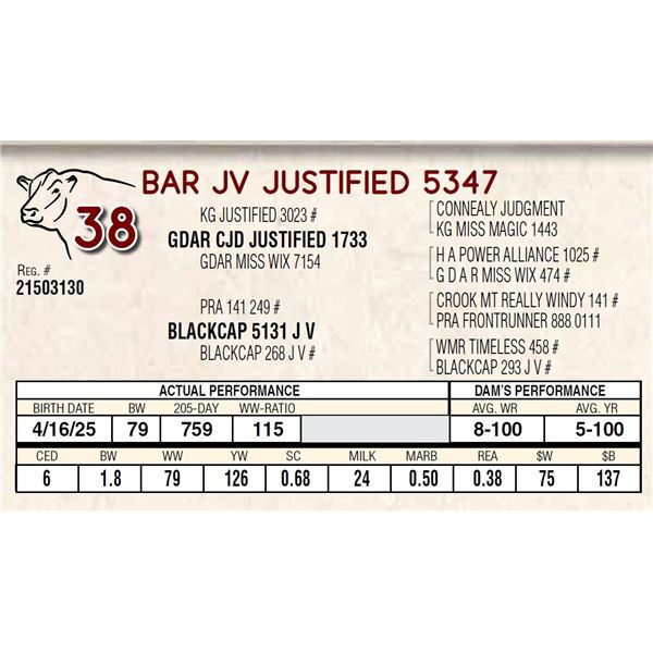 BAR JV JUSTIFIED 5347