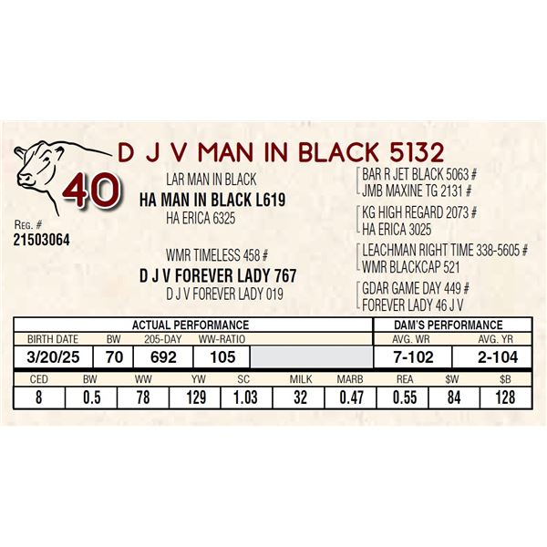 D J V MAN IN BLACK 5132